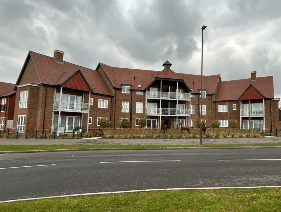 A row of terraced houses